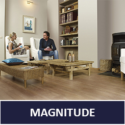 magnitude Magnitude merken