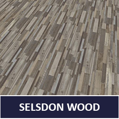 Selsdon wood